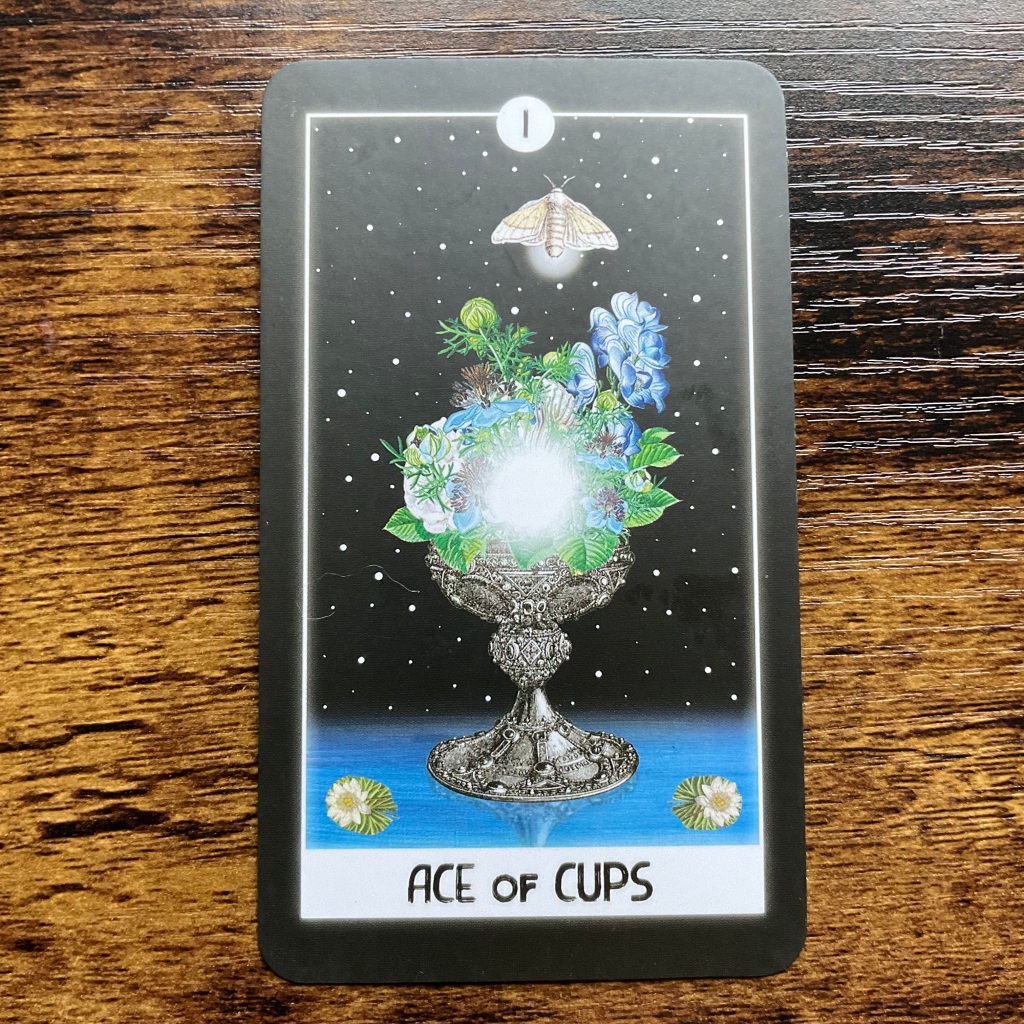 Ace of Cups from the Intuitive Night Goddess Tarot