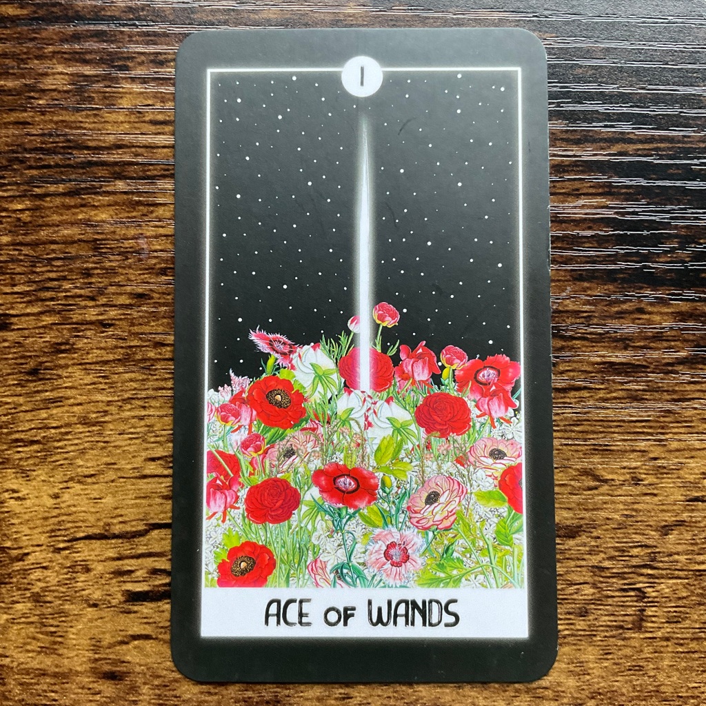 The Ace of Wands from The Intuitive Night Goddess Tarot