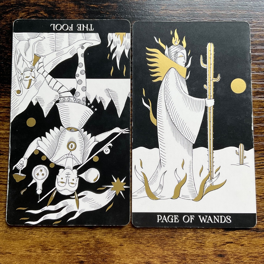 The Fool in Reverse and The Page of Wands from the Symbolic Soul Tarot